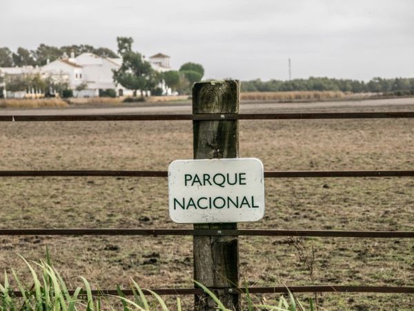 Actividades y Eventos Personalizados en el Sur de España