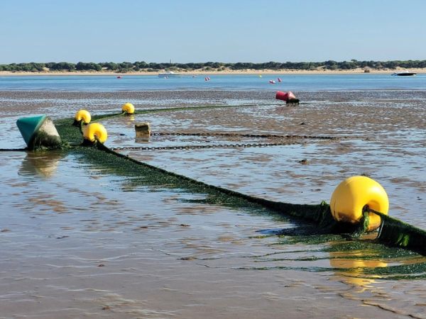 SUR THE LIFE EXPERIENCE: Eventos Náuticos y Actividades en el Guadalquivir