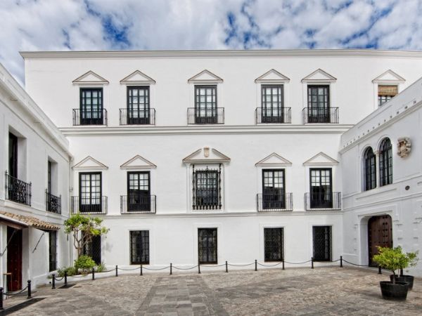 Experiencias Únicas de Team Building en Andalucía con SUR THE LIFE EXPERIENCE