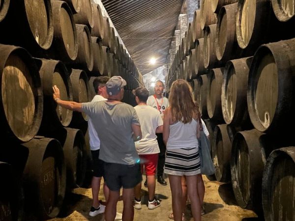 SUR THE LIFE EXPERIENCE: Celebraciones Privadas y Eventos Sociales