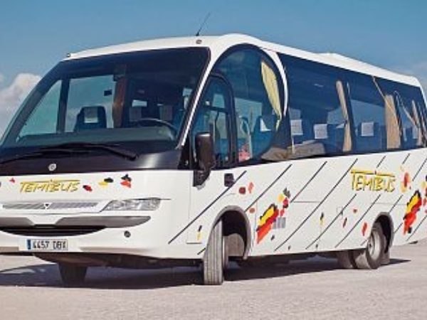 Temibus: Flota moderna y equipada para tus necesidades de transporte