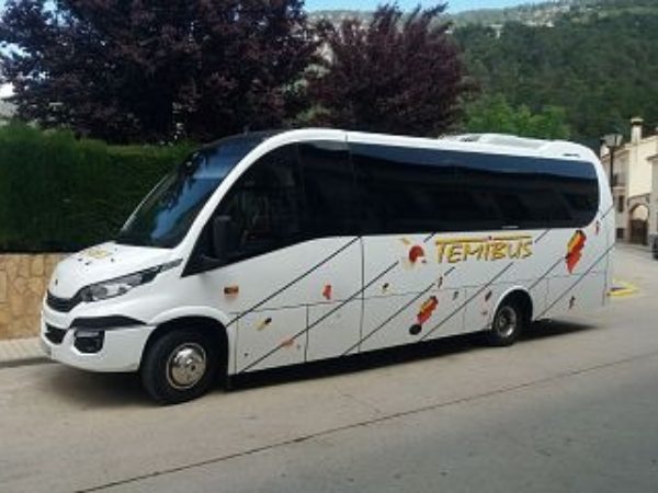 Servicios de traslado y transfer en aeropuertos y estaciones de tren con Temibus