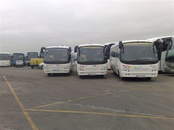 Torres Bus: Transporte para eventos deportivos y culturales en Madrid y Toledo