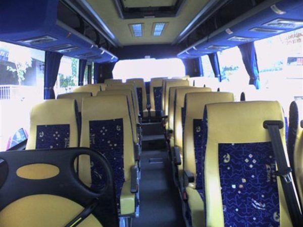 Torres Bus: Soluciones de transporte personalizadas para tus eventos