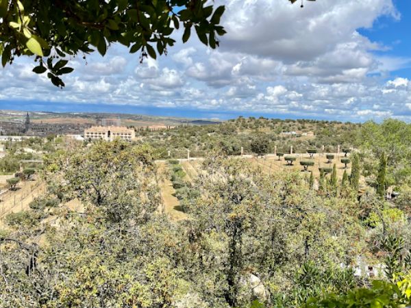 Viñedos Cigarral Santa María: Experiencias Personalizadas para Empresas y Particulares